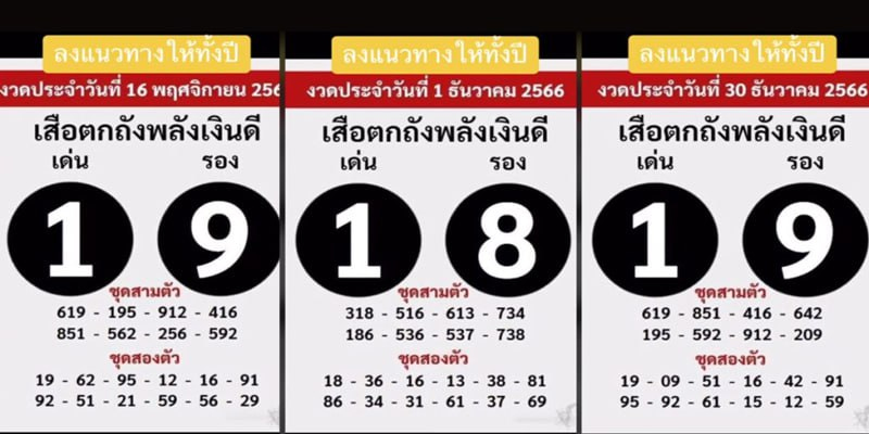  เสือตกถัง พลังเงินดี 16 3 66