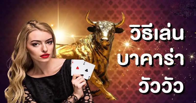 บาคาร่า วัว วัว sa-"Baccarat cow cow sa"