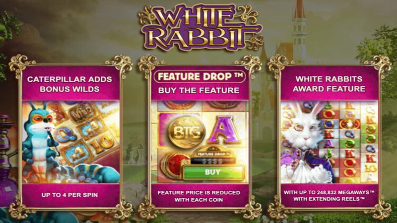 เกมส์กระต่ายขาว-"White Rabbit game"