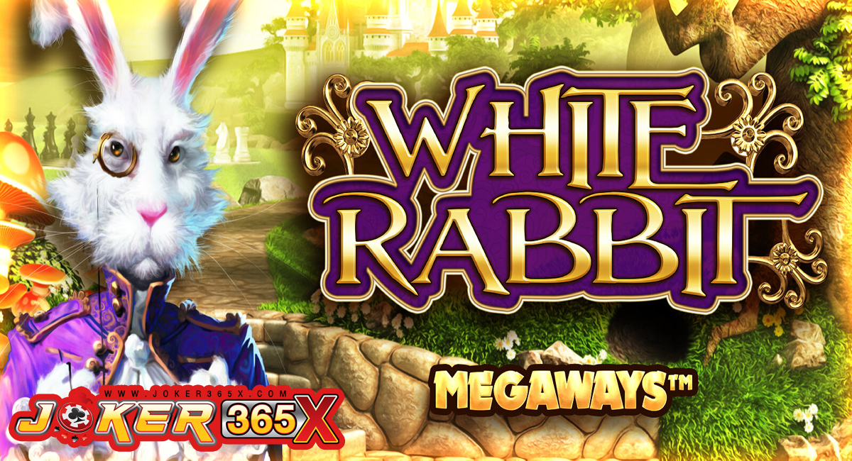 กระต่ายสีขาว-"White Rabbit"