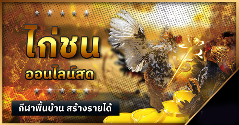 เกมไก่ชน - "cockfighting - game"