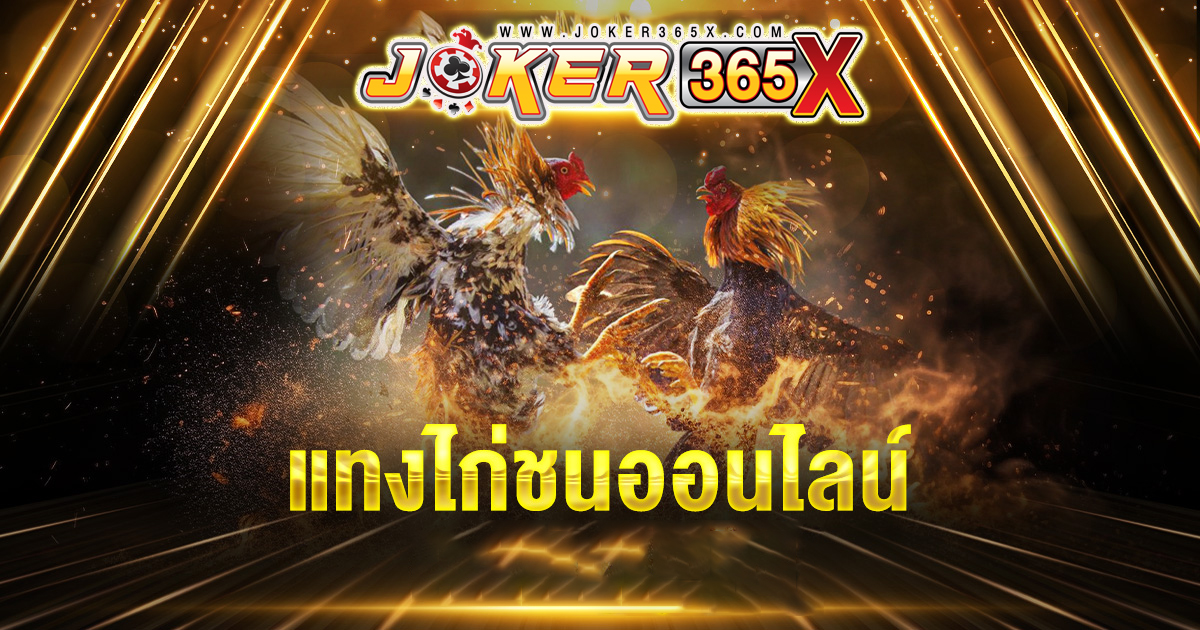 เกมไก่ชน - "game"